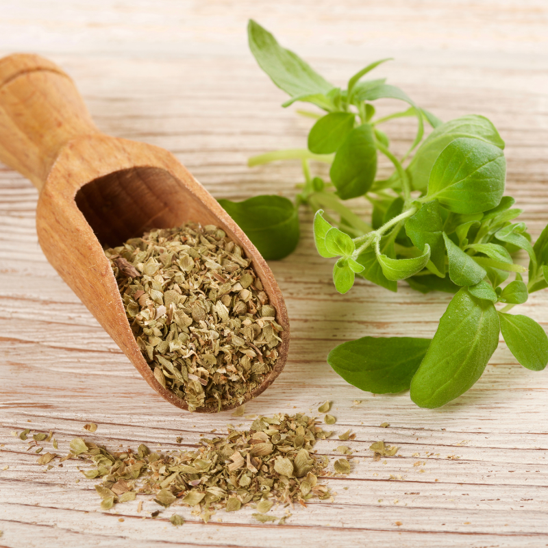 Oregano seeds - 50