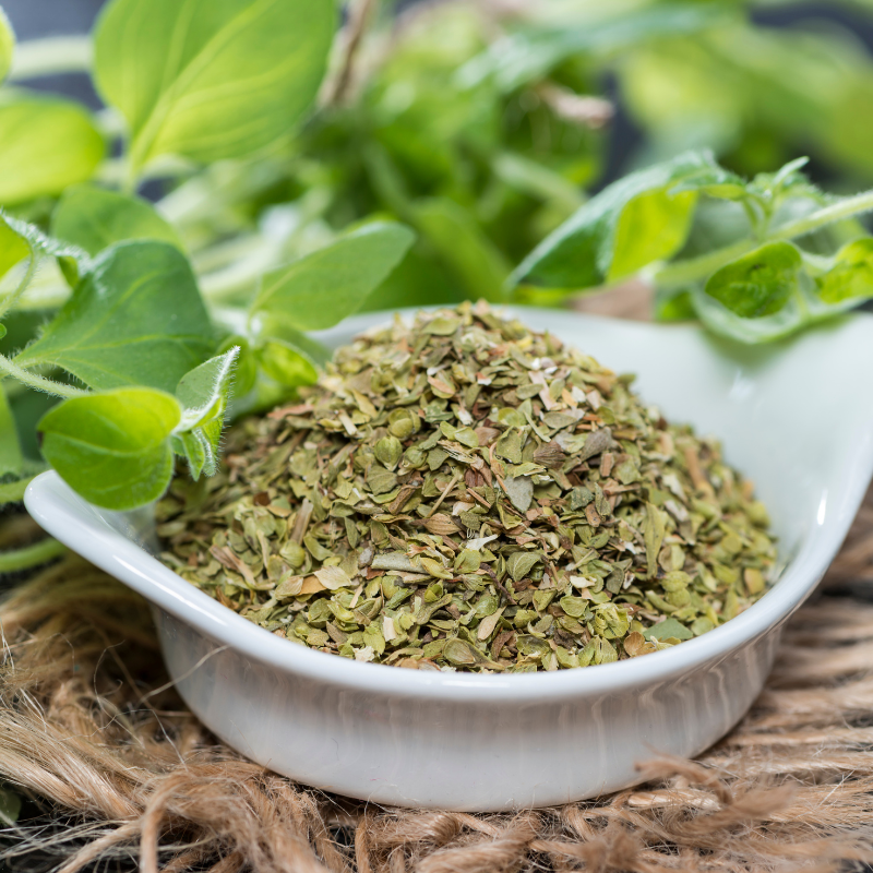 Oregano seeds - 50