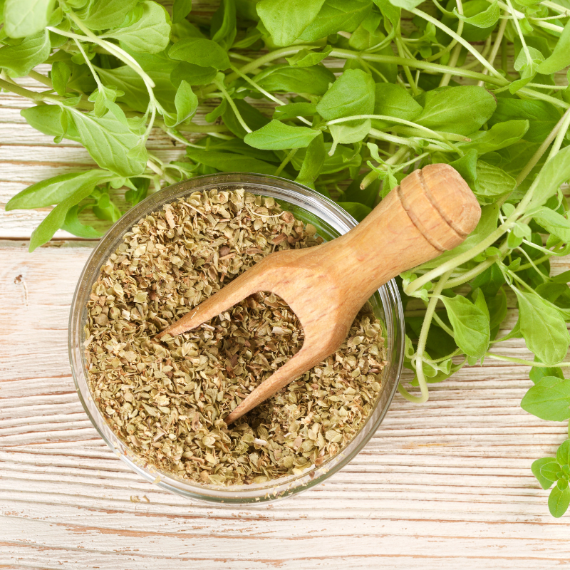 Oregano seeds - 50