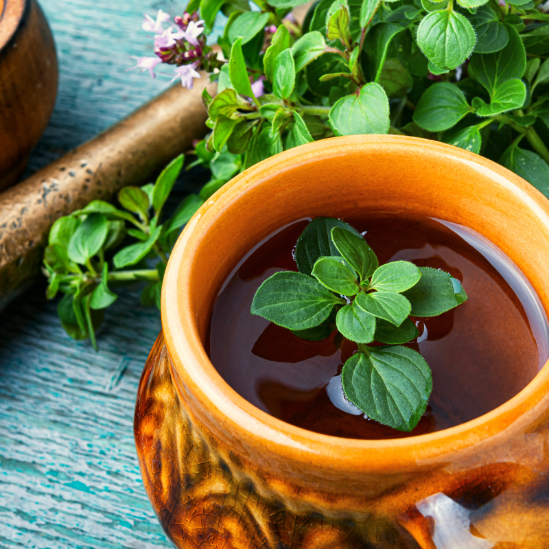 Oregano seeds - 50