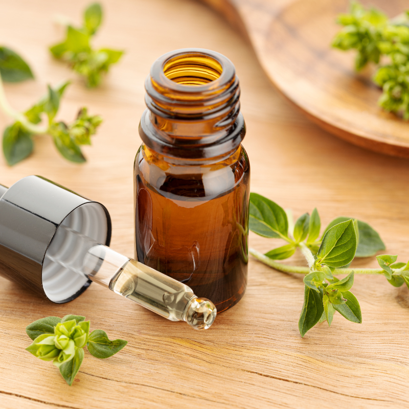 Oregano seeds - 50