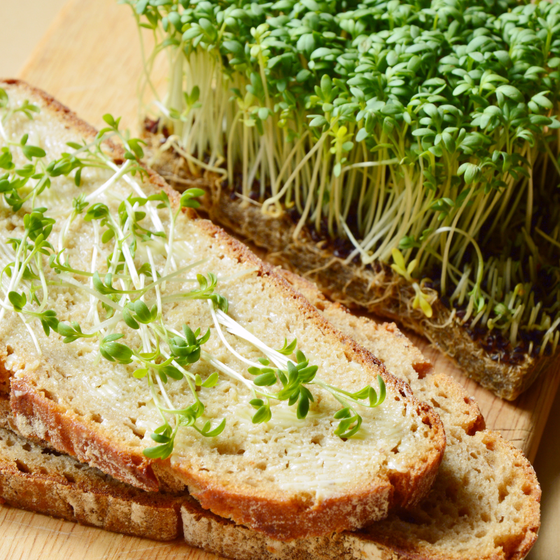Halim, Garden cress seeds - 100