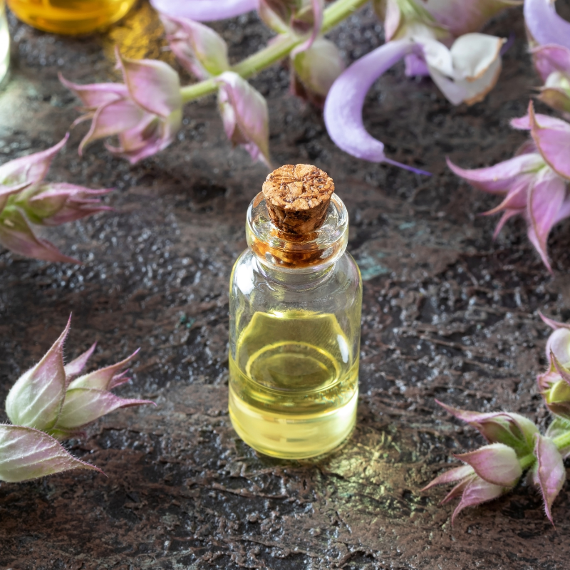 Clary, clary sage seeds - 15
