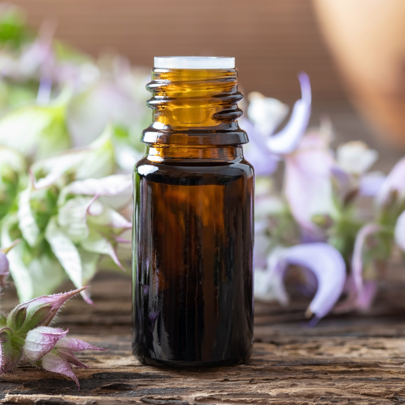Clary, clary sage seeds - 15