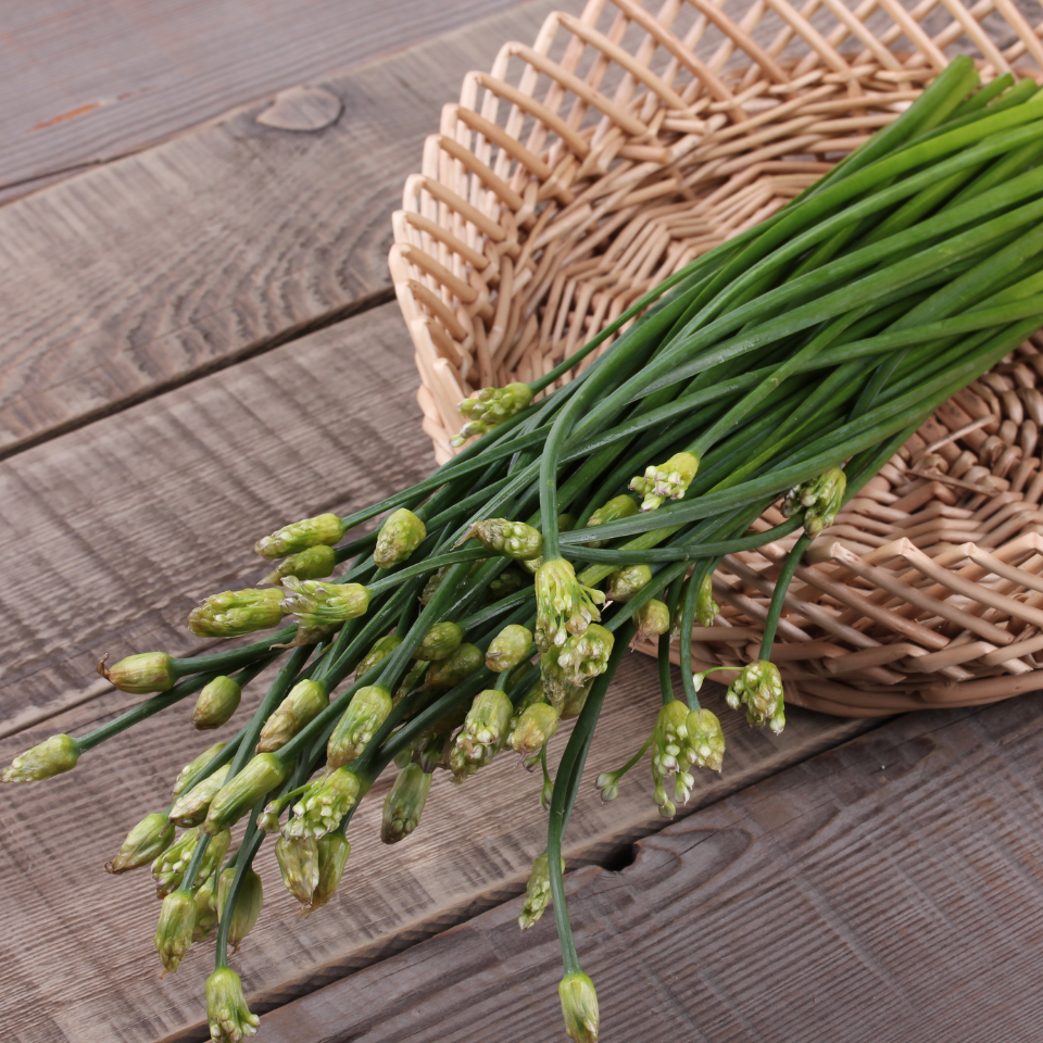 Garlic chives seeds, Allium Tuberosum - 30