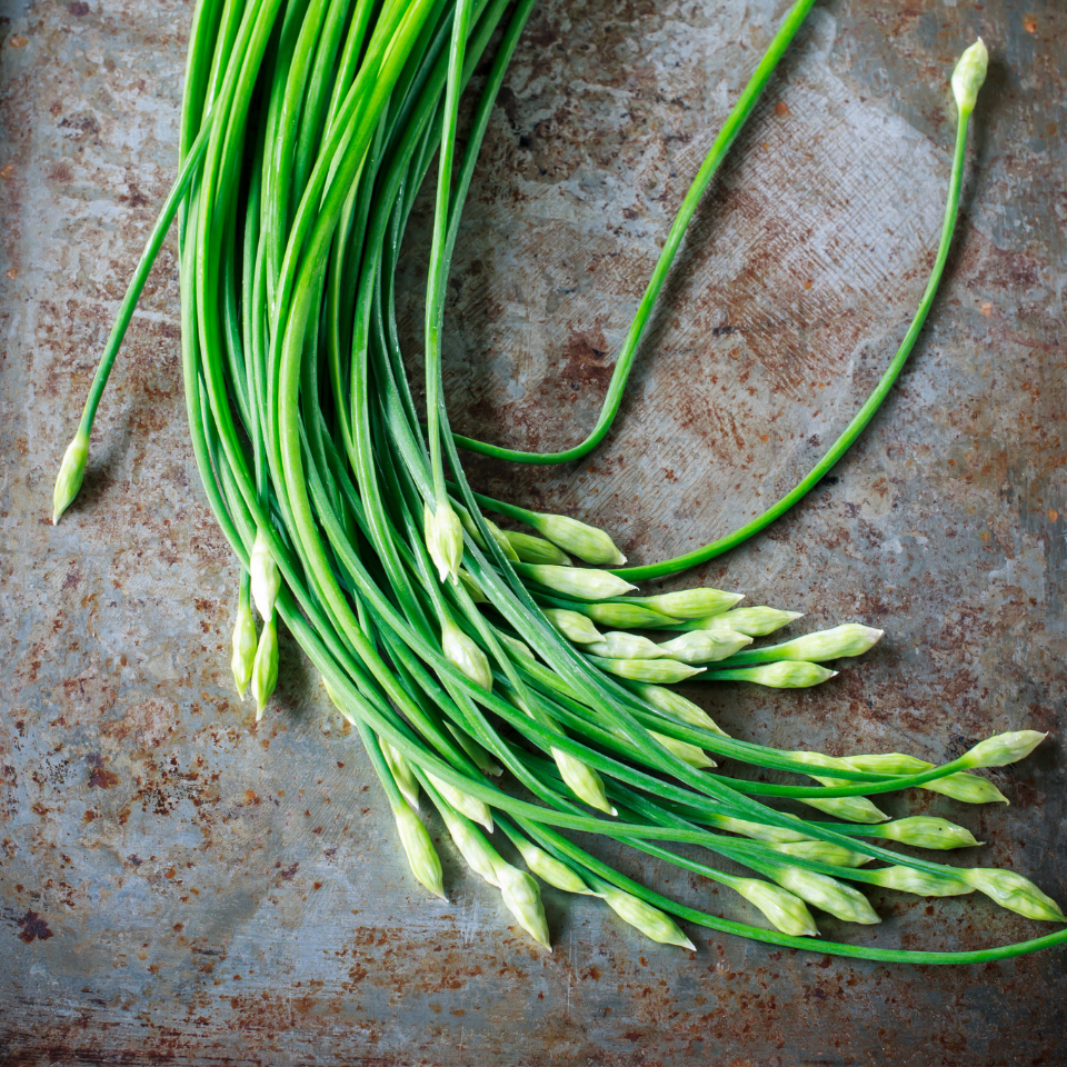 Garlic chives seeds, Allium Tuberosum - 30