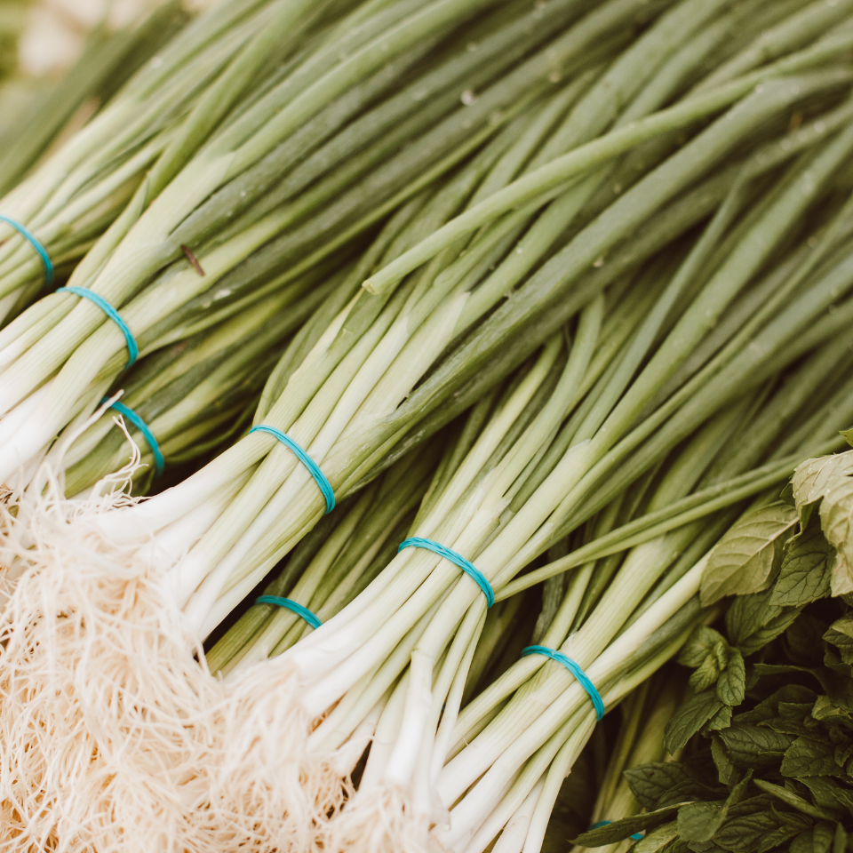Scallion White flower seeds, Allium fistulosum - 30