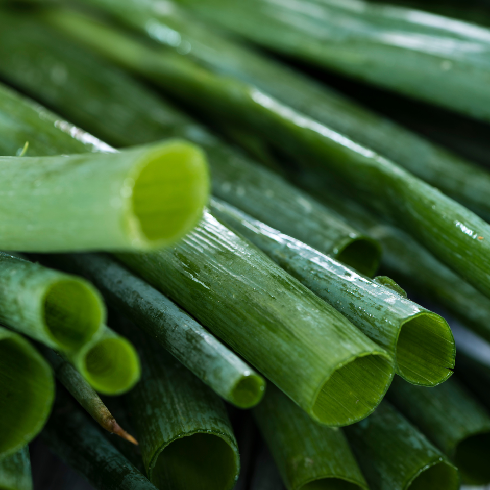 Scallion White flower seeds, Allium fistulosum - 30