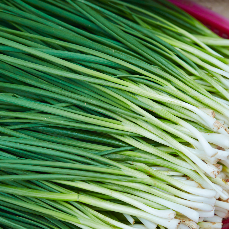 Common Chives, Onion Chives seeds - 30