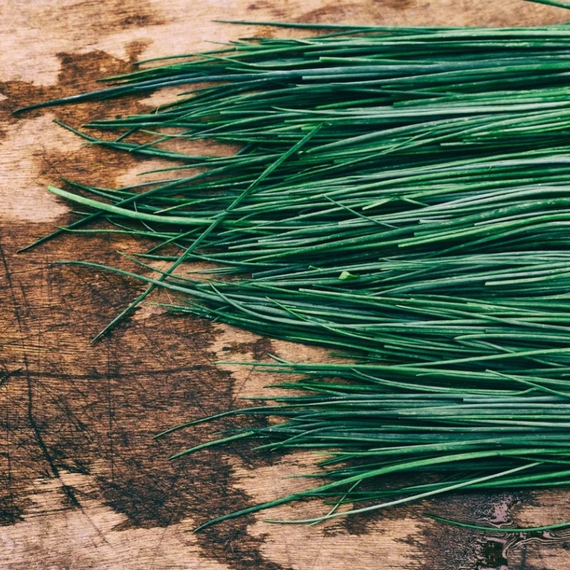 Common Chives Seeds, Allium Schoenoprasum - 30