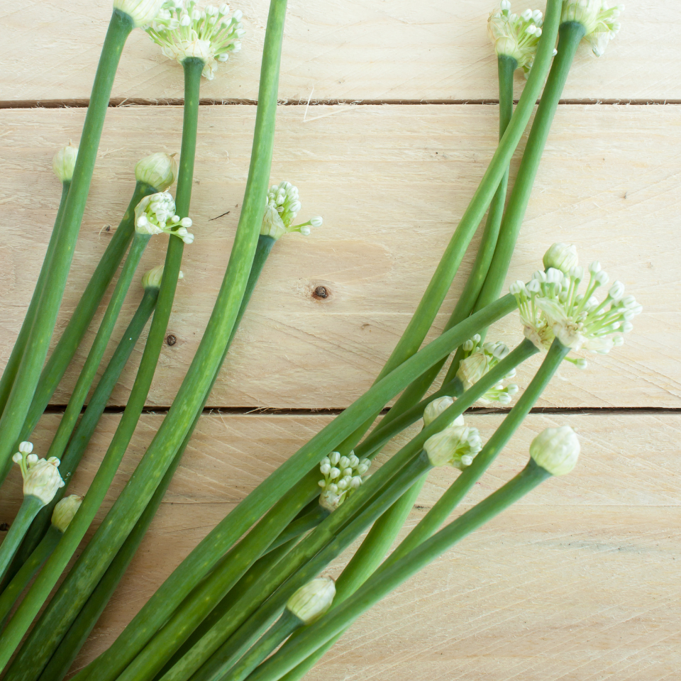 Common Chives, Onion Chives seeds - 30