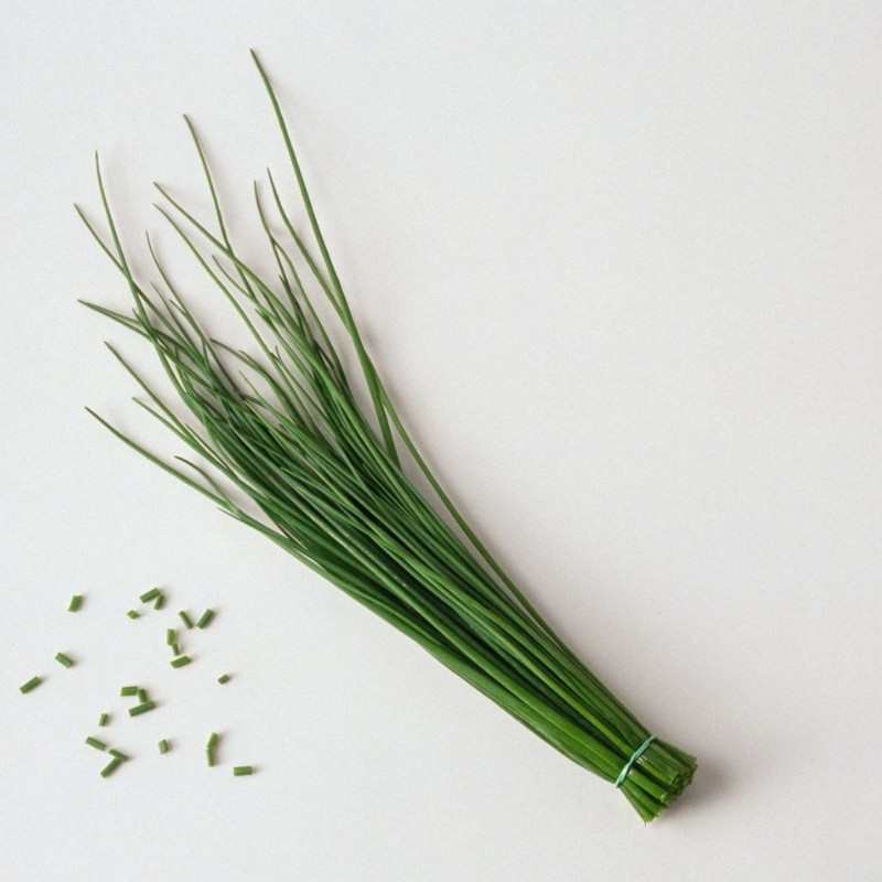 Common Chives Seeds, Allium Schoenoprasum - 30