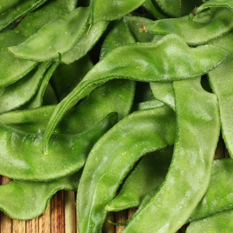 Dolichos Biflorus, Kulthi, Horse Gram, Indian Legume seeds - 20