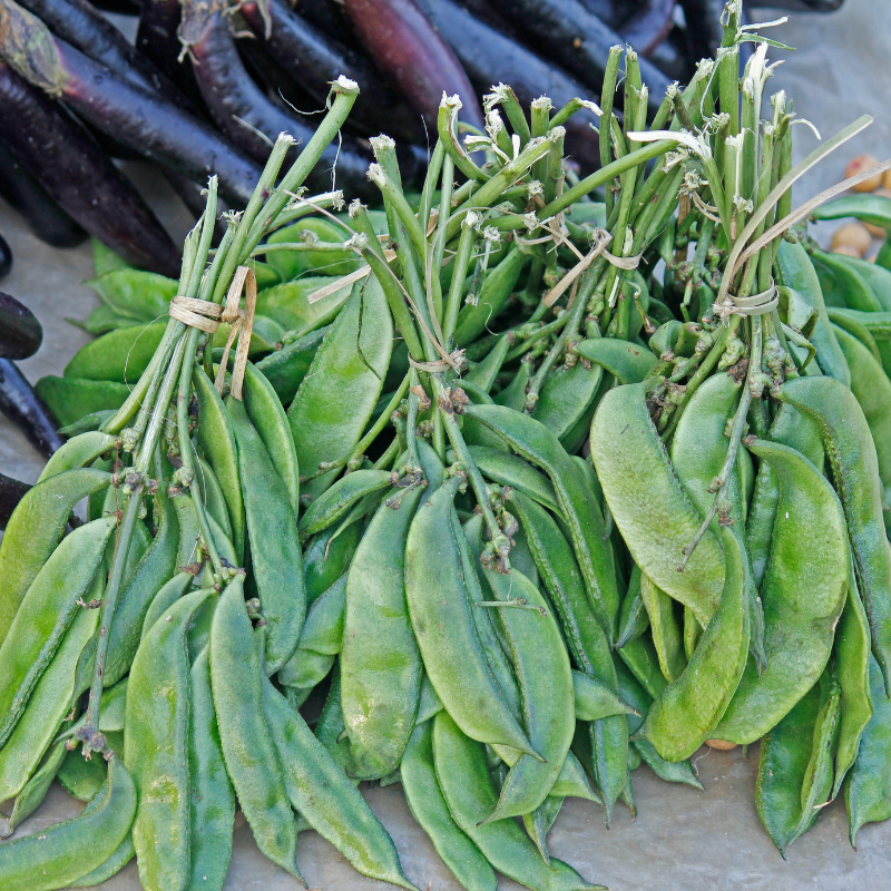 Dolichos Biflorus, Kulthi, Horse Gram, Indian Legume seeds - 20