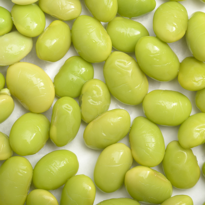 Glycine max (Edamame, Soy Beans) - 10