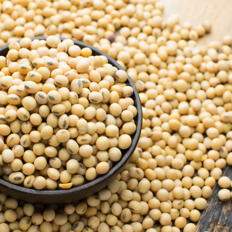 Glycine max (Edamame, Soy Beans) - 10