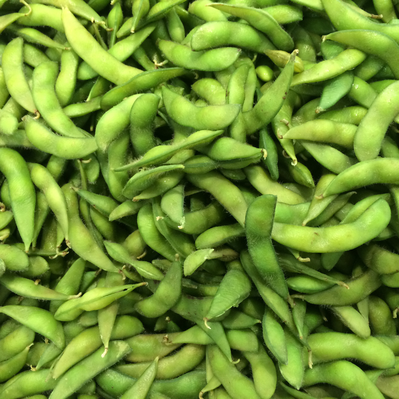 Glycine max (Edamame, Soy Beans) - 10