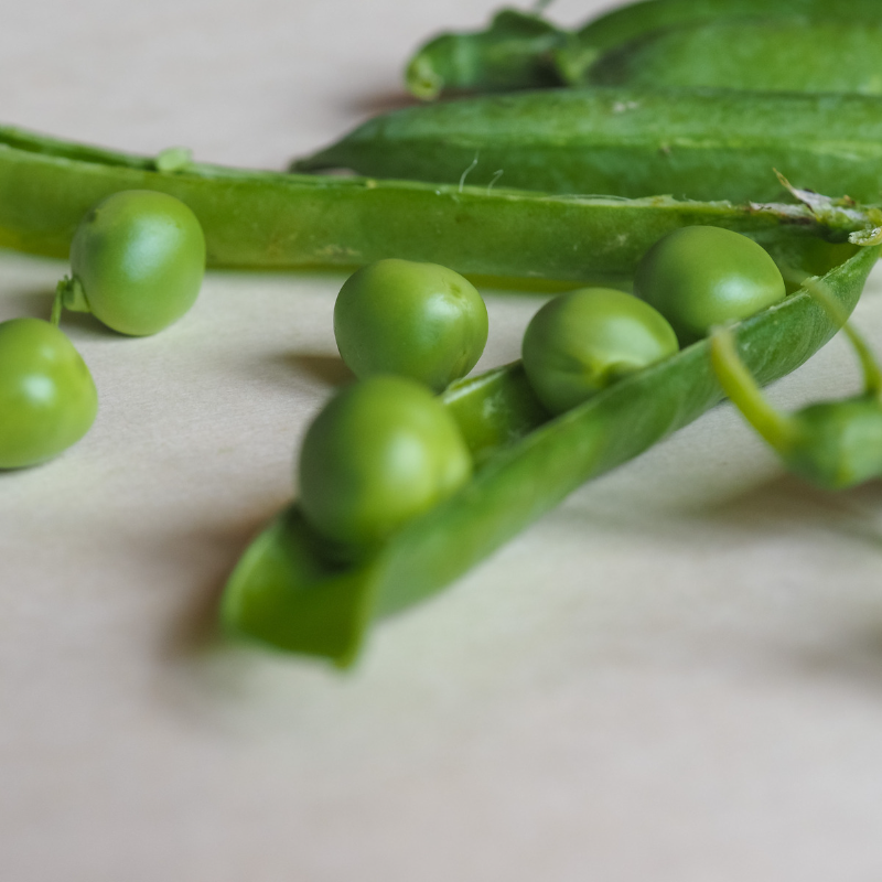 Green Peas Arkel seeds - 10