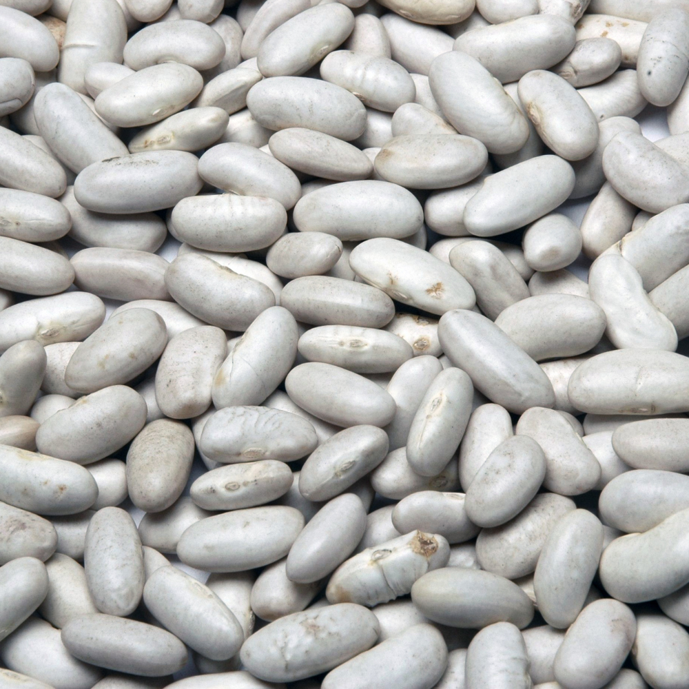 Roshni beans - 10