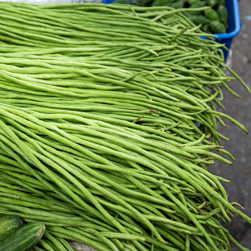 Yard long beans Laffa seeds - 10