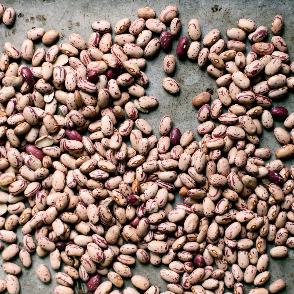 Kashmiri cranberry beans, Thull rajma seeds - 10