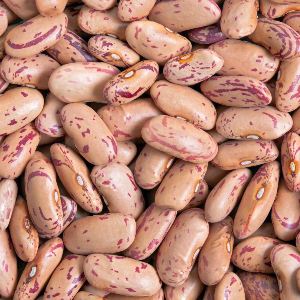Kashmiri cranberry beans, Thull rajma seeds - 10