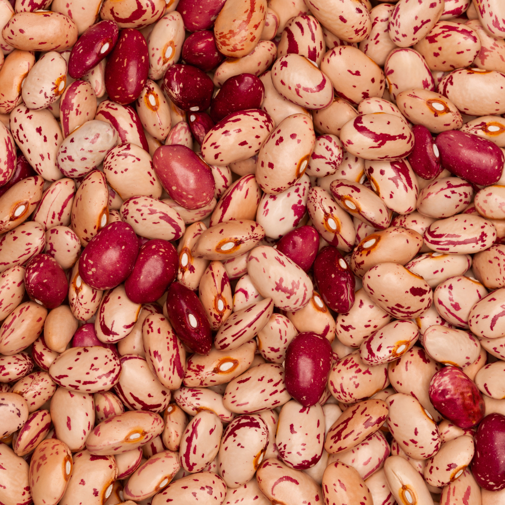 Kashmiri cranberry beans, Thull rajma seeds - 10