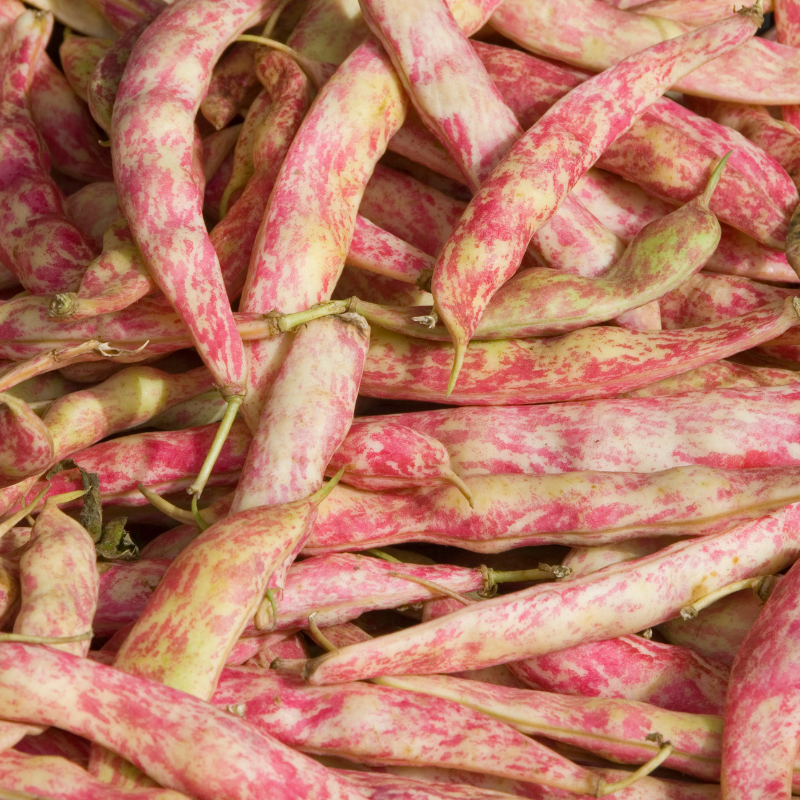 Kashmiri cranberry beans, Thull rajma seeds - 10