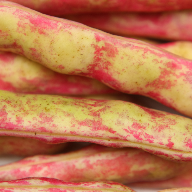 Kashmiri cranberry beans, Thull rajma seeds - 10