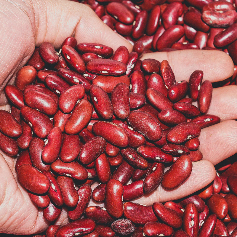 Red Rajma Beans, Red Kidney Beans - 10