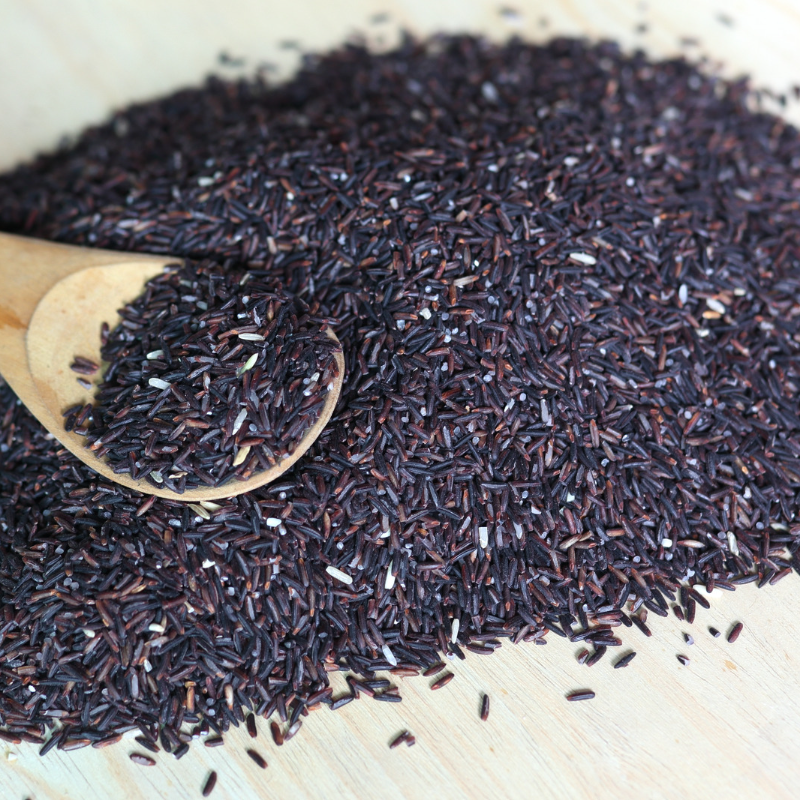 Oryza sativa, Wild Black Rice, Riceberry seeds - 300