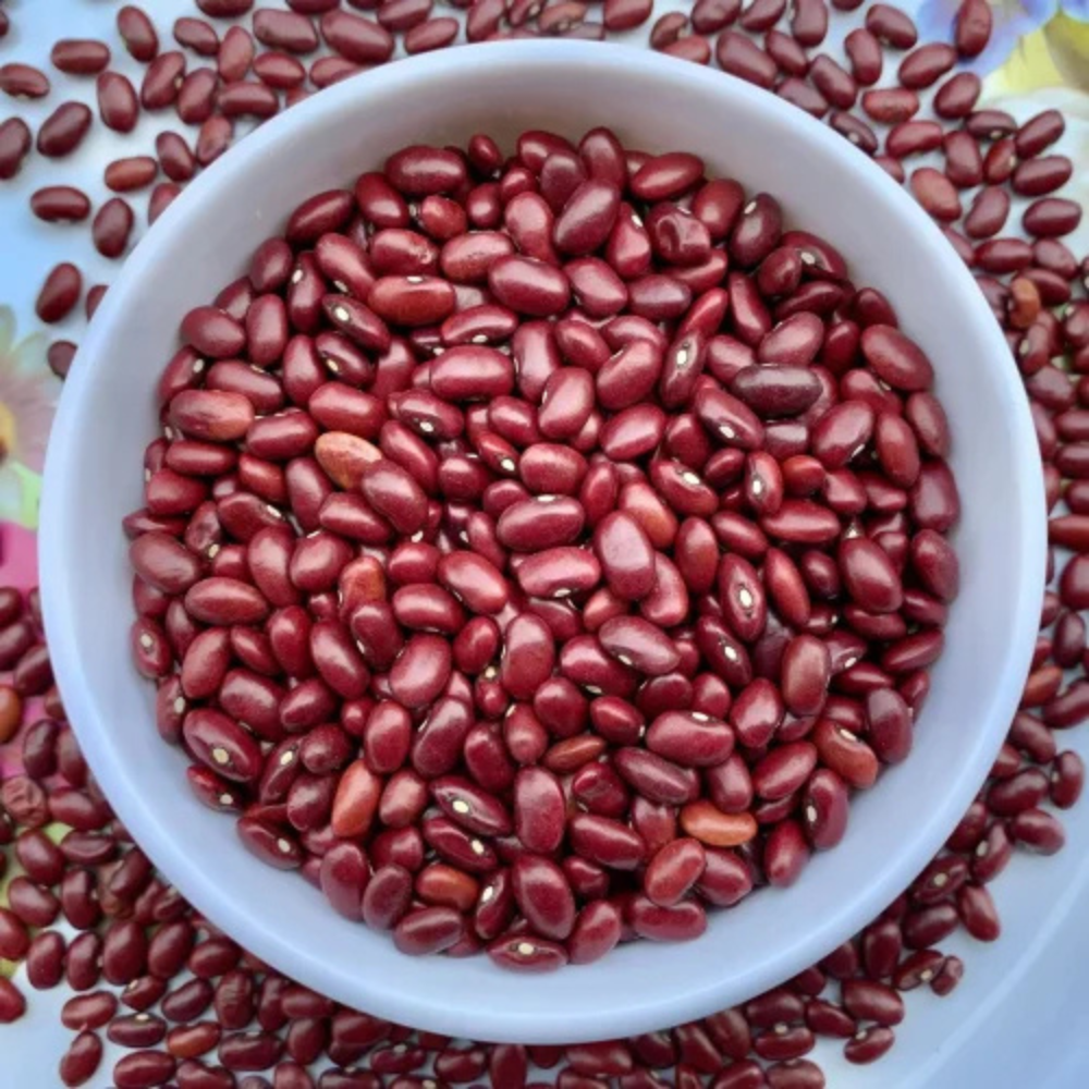 Jammu small Rajma Beans - 10
