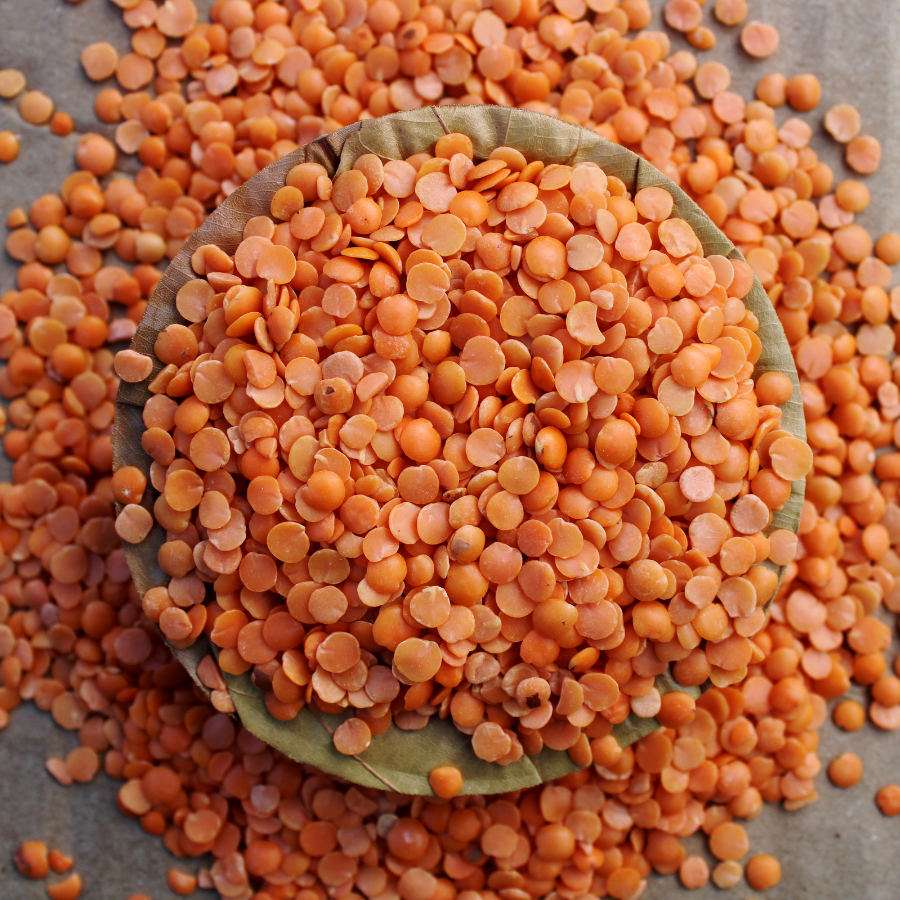 Red lentlis, Lens culinaris seeds - 100