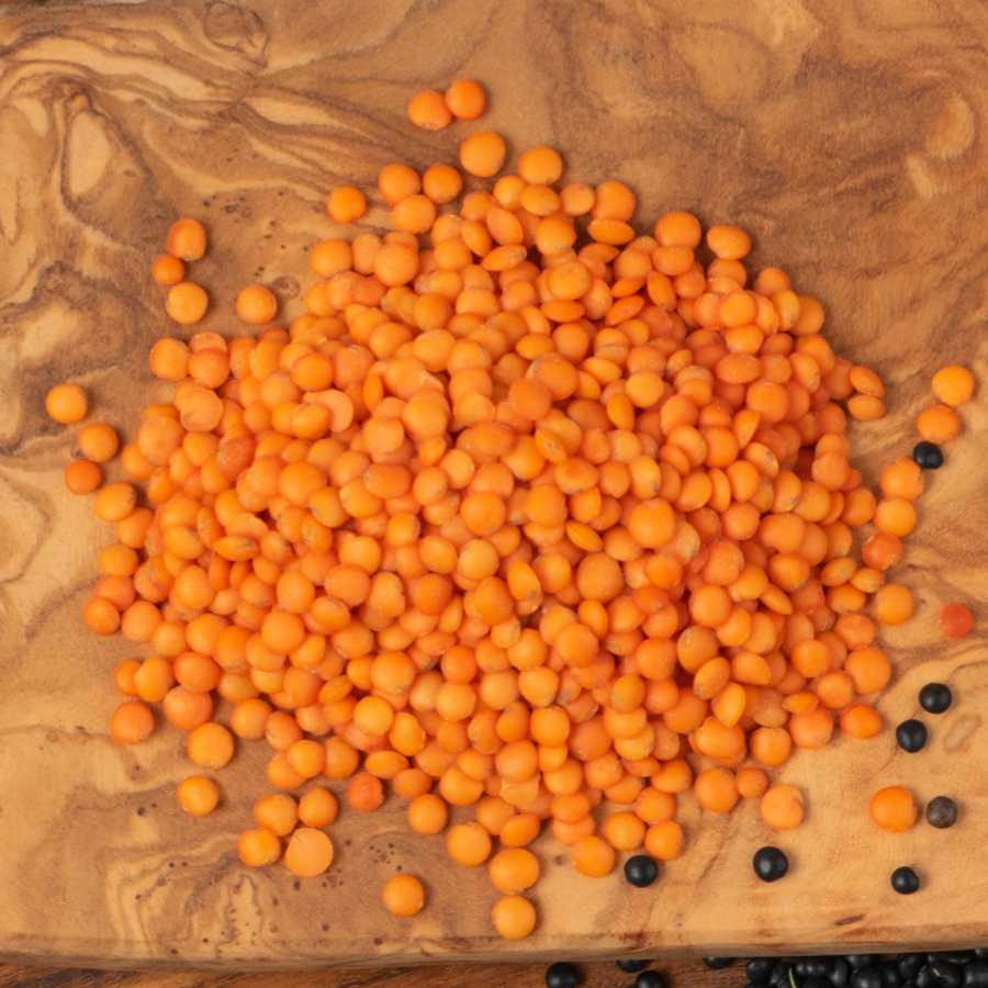 Red lentlis, Lens culinaris seeds - 100