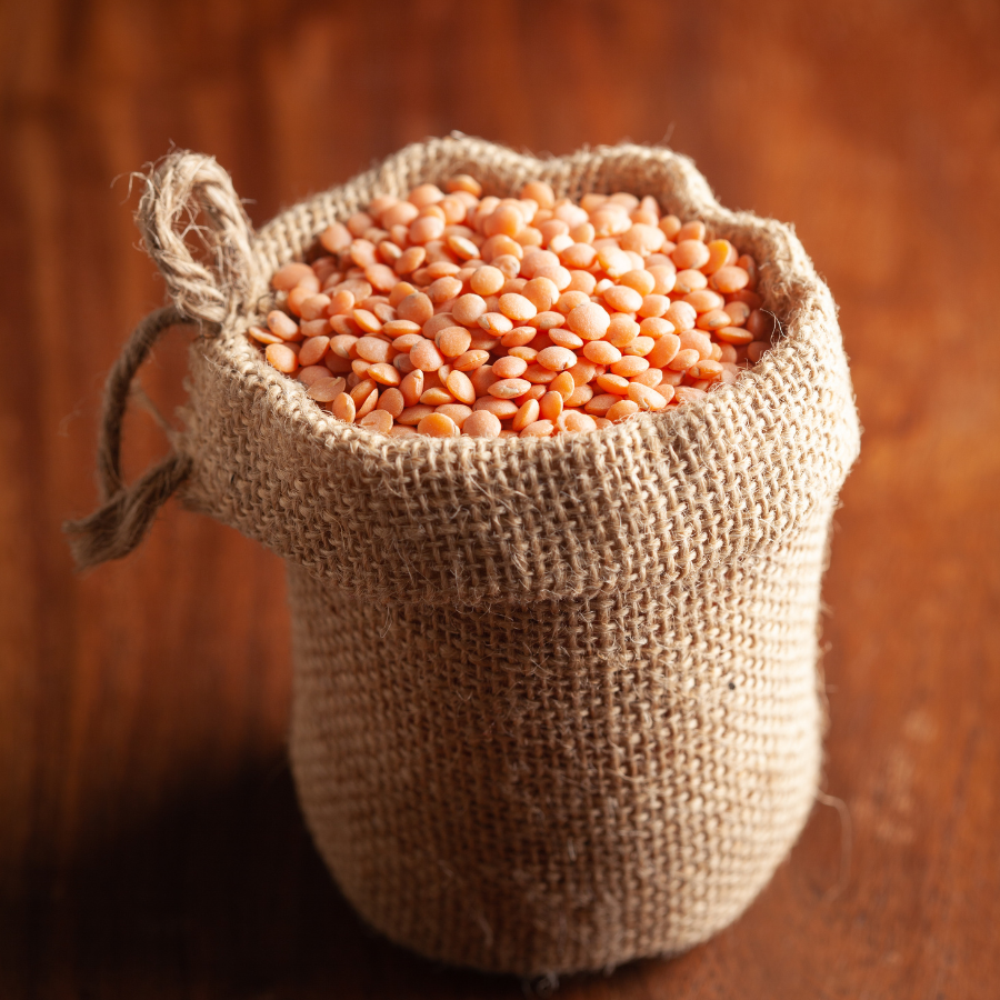 Red lentlis, Lens culinaris seeds - 100