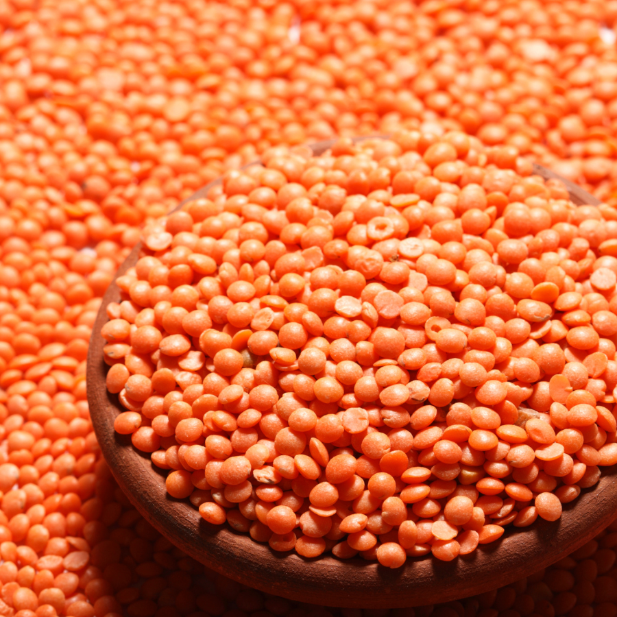 Red lentlis, Lens culinaris seeds - 100