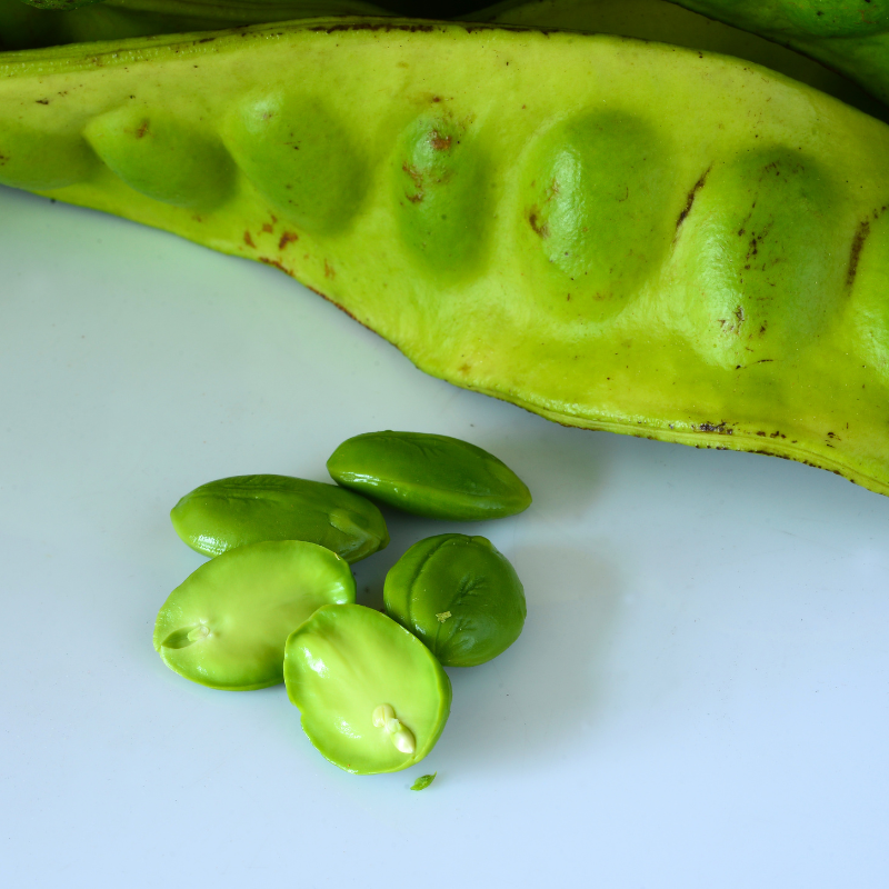 Cluster Bean, Neelam Guar seeds - 20