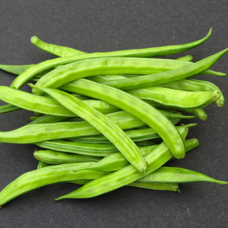 Cluster Bean, Neelam Guar seeds - 20