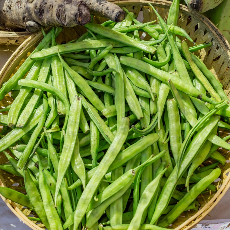 Cluster Bean, Neelam Guar seeds - 20