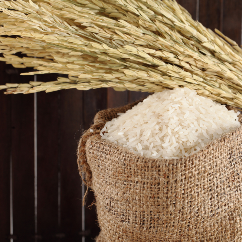 Oryza sativa, Basmati Rice seeds - 300