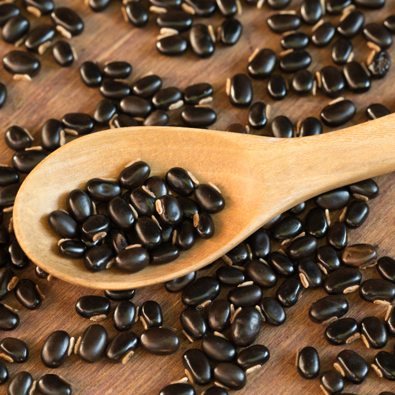 Mucuna pruriens, Velvet Bean, Kapikachhu - 5
