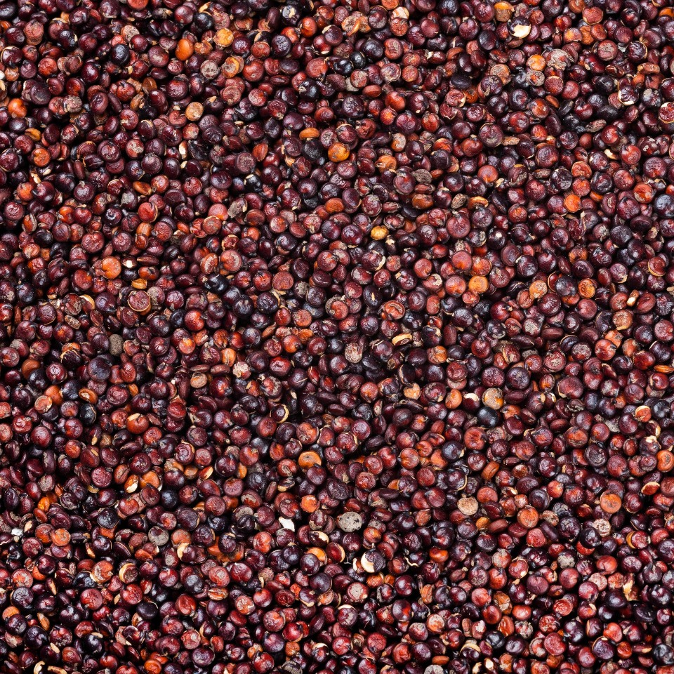Quinoa Black seeds, Chenopodium Quinoa - 300