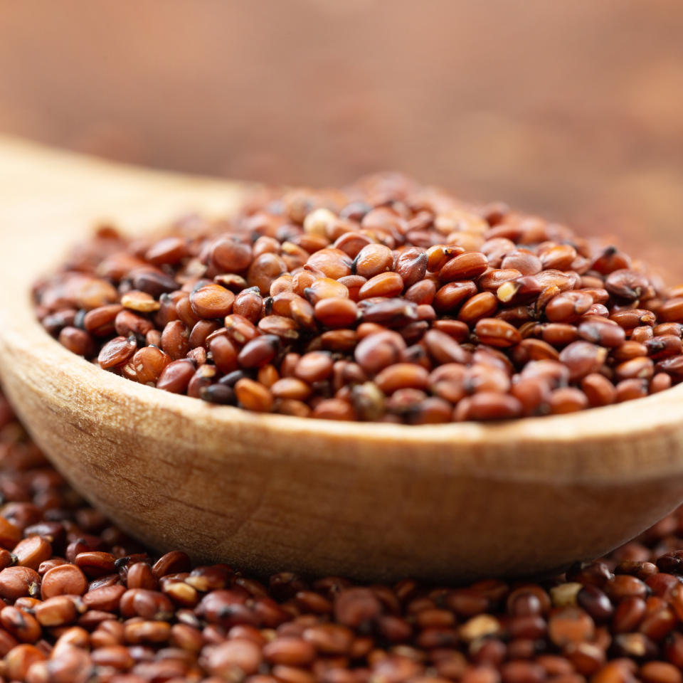 Quinoa Red seeds, Chenopodium Quinoa - 50