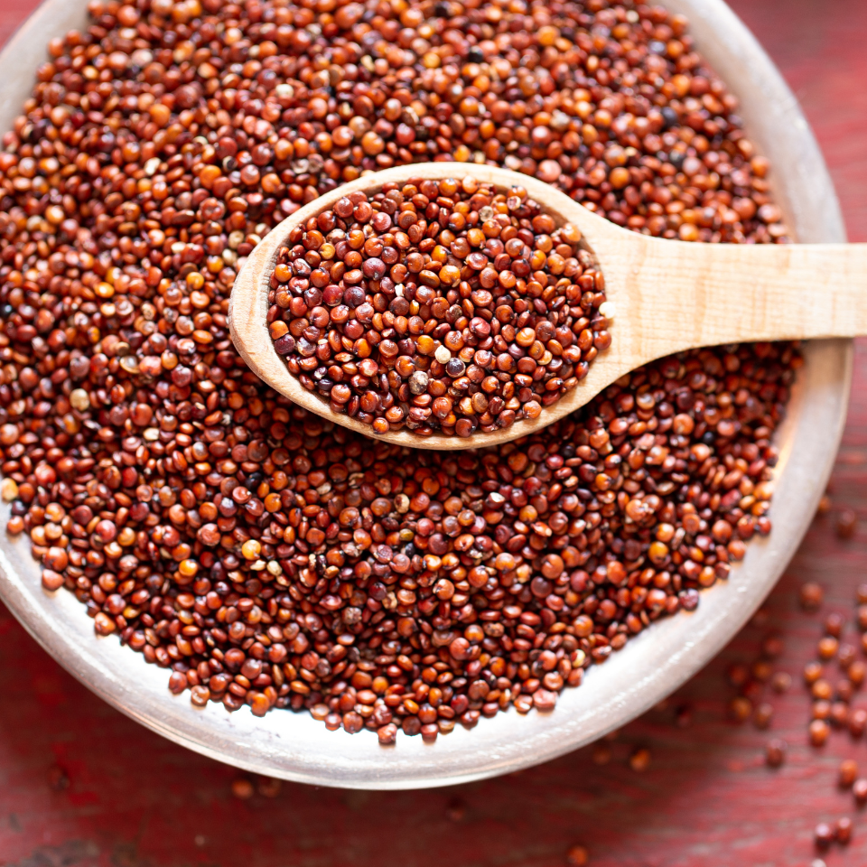 Quinoa Red seeds, Chenopodium Quinoa - 50