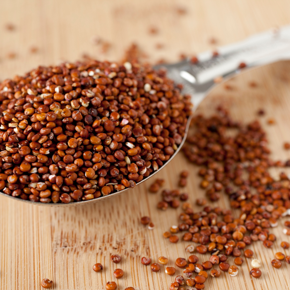 Quinoa Red seeds, Chenopodium Quinoa - 50