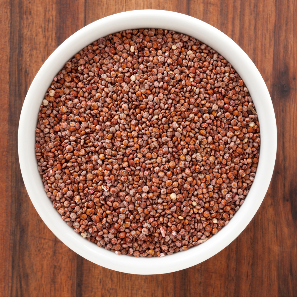Quinoa Red seeds, Chenopodium Quinoa - 50
