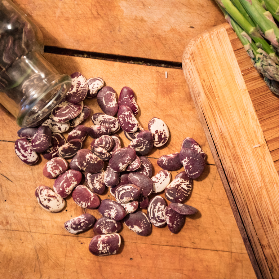 Christmas Lima Beans - 10