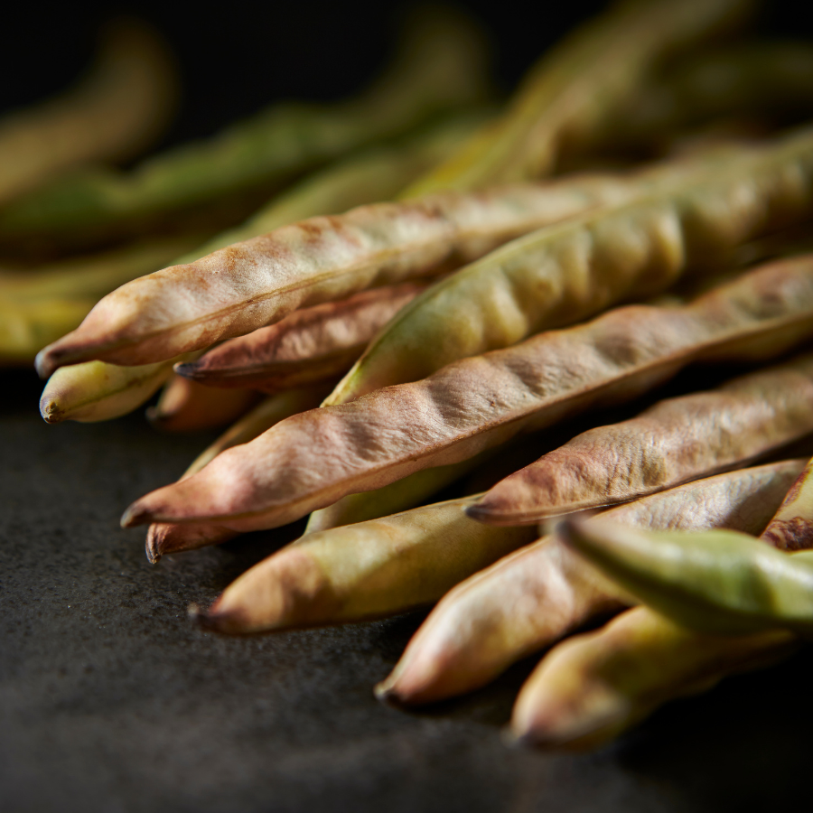 Adzuki Beans, Vigna angularis - 30