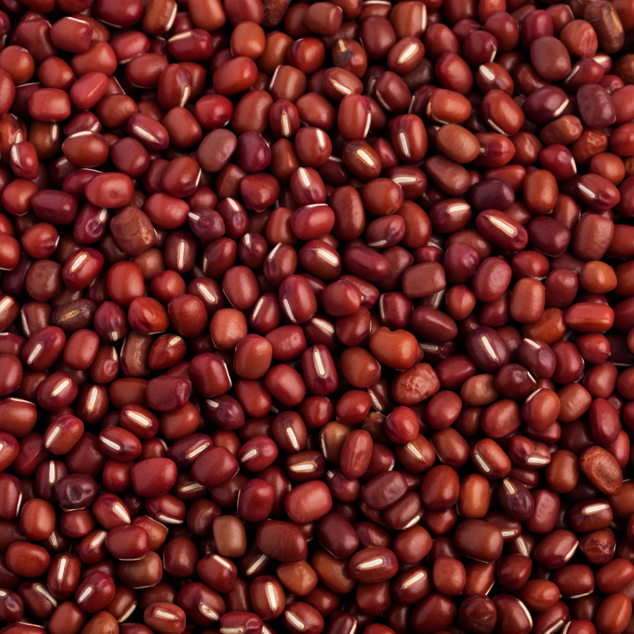 Adzuki Beans, Vigna angularis - 30