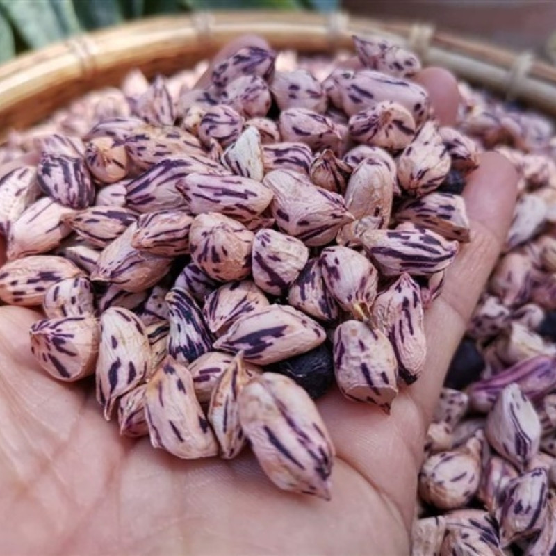 Tiger Selected Stripped Peanut Seeds, Mae Hong Son Specialty - 10